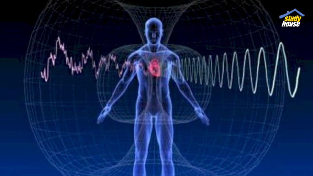 aliran listrik tubuh manusia